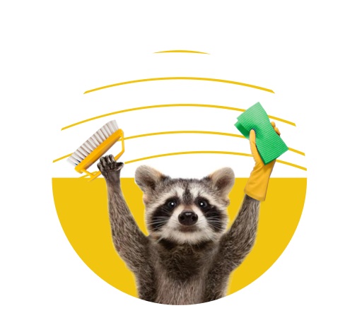 Raccoon Cleaning Services brand in Elmhurst